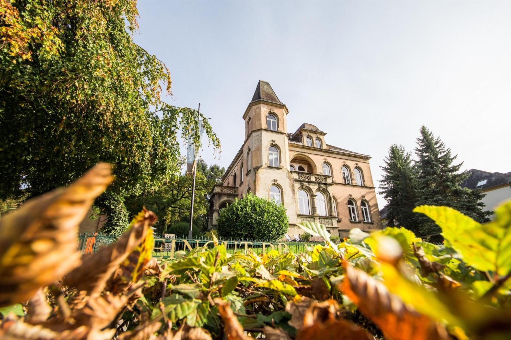 Villa Weingut Dr Wagner Saarburg Exterior foto